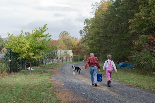 Your Retirement Roadmap: How to Plan for a Secure Future